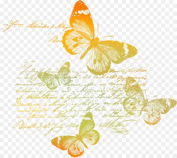 Paper Letter Clip art - Alphabet colorful butterfly 