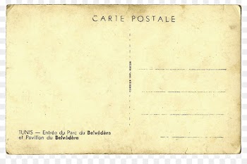 Paper Letter Postcard - Old letter paper 