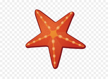 Paper Lighting Color Orange - Vector orange starfish png download ...