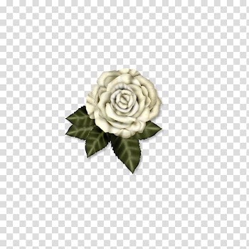 Paper Parchment Scroll, White Rose transparent background PNG clipart