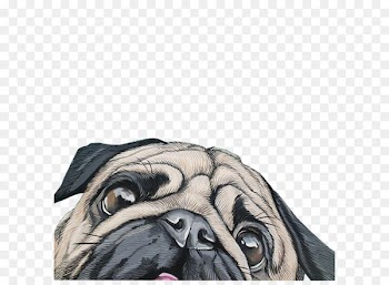 Paper Partition wall Telephone Wallpaper - dog 