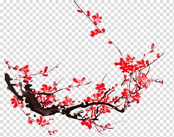 Paper Plum blossom Ceramic decal, Plum flower transparent background PNG clipart