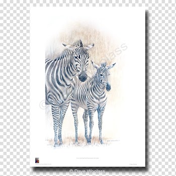 Paper Printing Art Giclée Printmaking, watercolor zebra transparent background PNG clipart