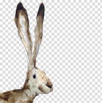 Paper Printmaking Printing Watercolor painting Drawing, Drawing Rabbit transparent background PNG clipart