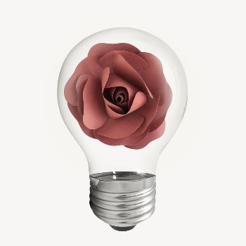 Paper rose bulb, red flower | Free PSD - rawpixel