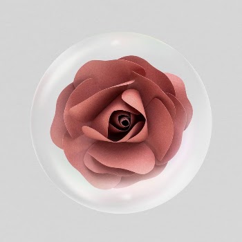 Paper rose flower sticker, Spring | Free PSD - rawpixel