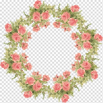 Paper Rose Frames Flower, conch transparent background PNG clipart