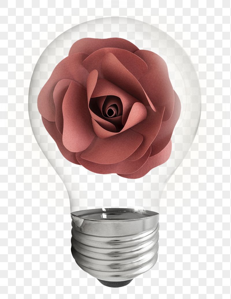 Paper rose png bulb sticker, | Free PNG - rawpixel