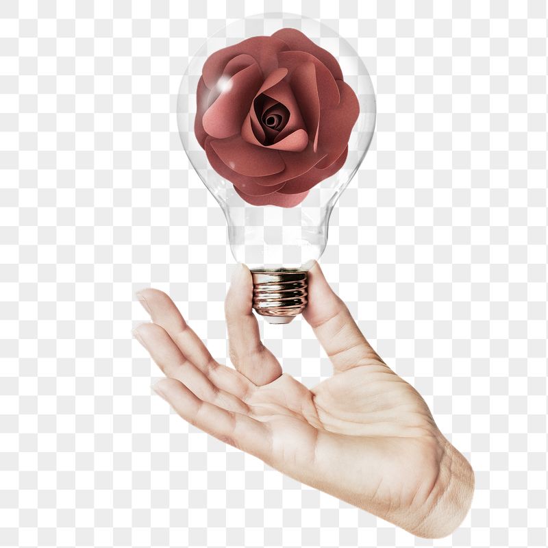 Paper rose png flower sticker, | Free PNG - rawpixel