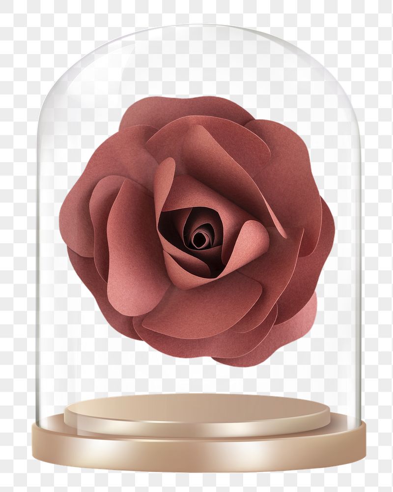 Paper rose png glass dome | Free PNG - rawpixel