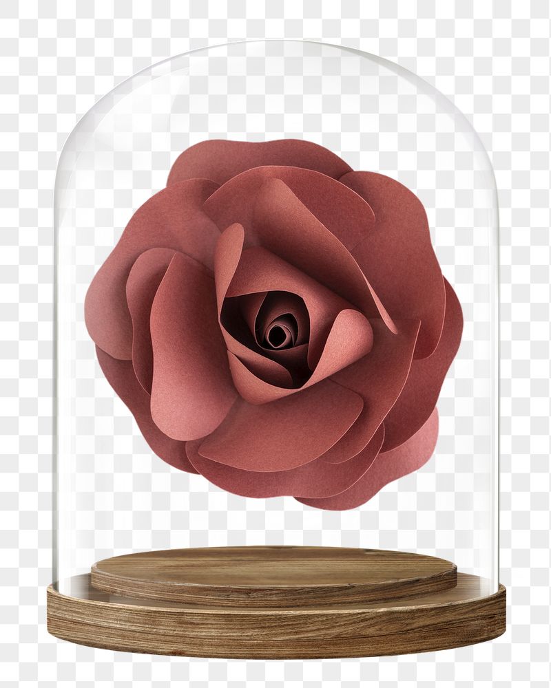 Paper rose png glass dome | Free PNG - rawpixel