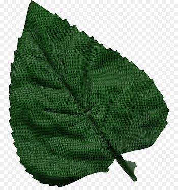 Paper Scrapbooking Rubber stamp - Leaves 