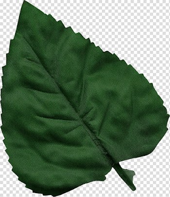 Paper Scrapbooking Rubber stamp, Leaves transparent background PNG clipart