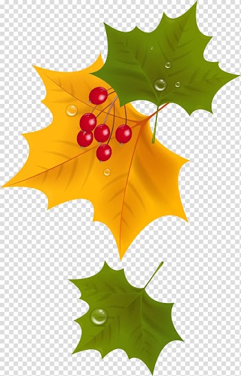 Paper Scroll , others transparent background PNG clipart