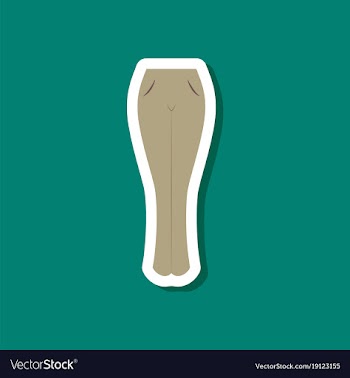 Paper sticker fashion clothes women jeans vector image