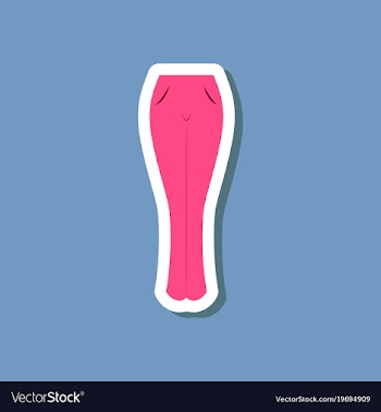 Paper sticker fashion clothes women jeans vector image