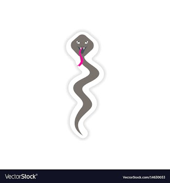 Paper sticker indian cobra on white background vector image