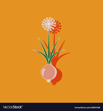 Paper sticker on background of allium vector image