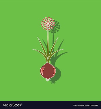Paper sticker on background of allium vector image