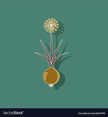 Paper sticker on background of allium vector image