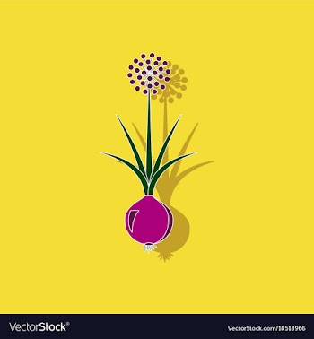 Paper sticker on background of allium vector image