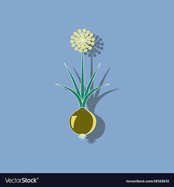 Paper sticker on background of allium vector image