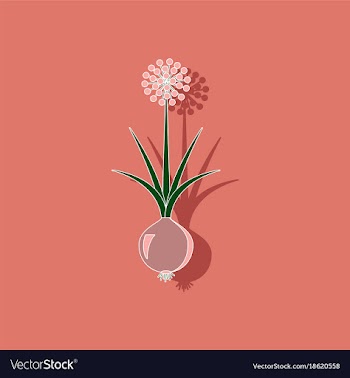Paper sticker on background of allium vector image