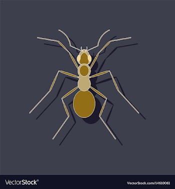 Paper sticker on background of ant vector image