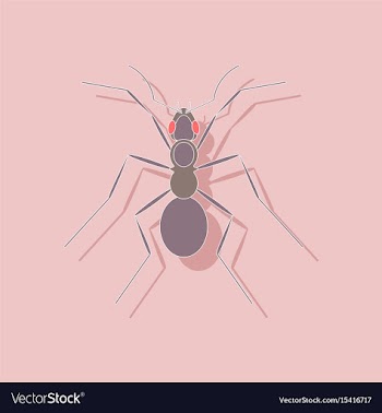 Paper sticker on background of ant vector image