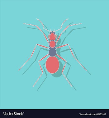Paper sticker on background of ant vector image