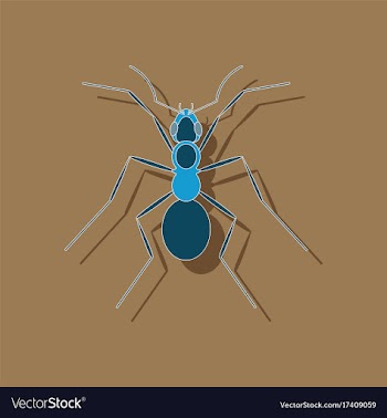 Paper sticker on background of ant vector image