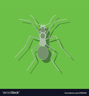 Paper sticker on background of ant vector image