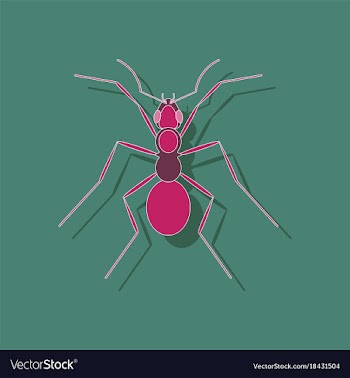 Paper sticker on background of ant vector image