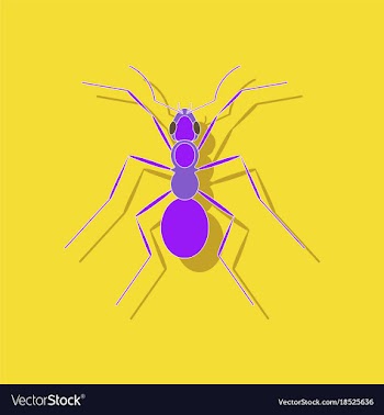 Paper sticker on background of ant vector image