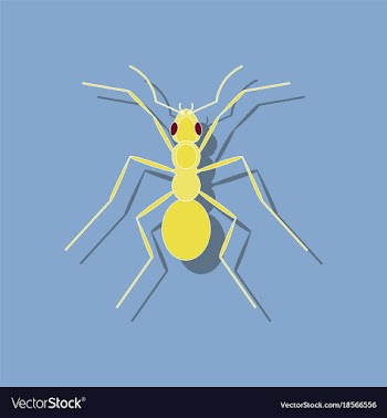 Paper sticker on background of ant vector image