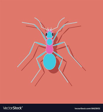 Paper sticker on background of ant vector image