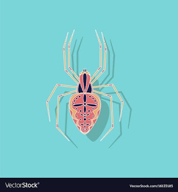 Paper sticker on background of araneus vector image