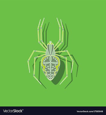 Paper sticker on background of araneus vector image