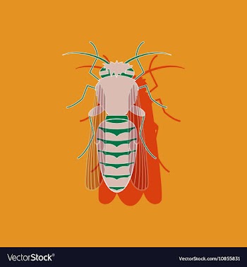 Paper sticker on background of bee vector image