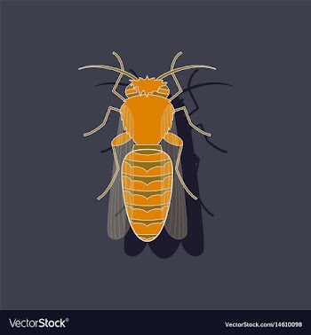 Paper sticker on background of bee vector image