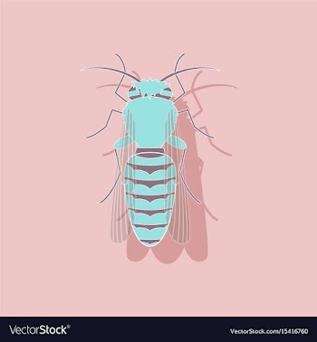 Paper sticker on background of bee vector image