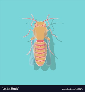 Paper sticker on background of bee vector image