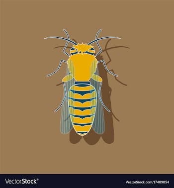 Paper sticker on background of bee vector image