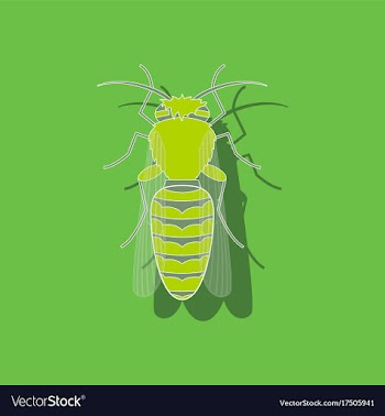 Paper sticker on background of bee vector image