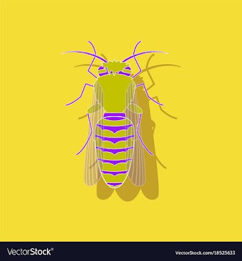 Paper sticker on background of bee vector image