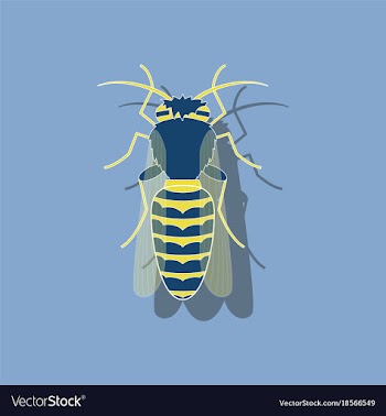 Paper sticker on background of bee vector image