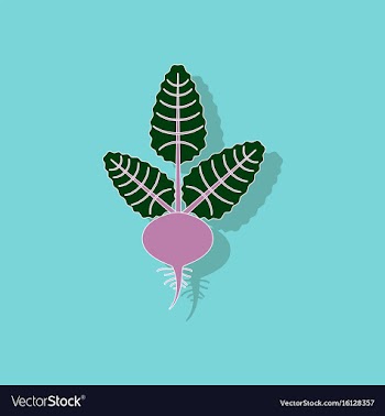 Paper sticker on background of beta vector image