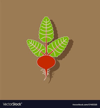 Paper sticker on background of beta vector image