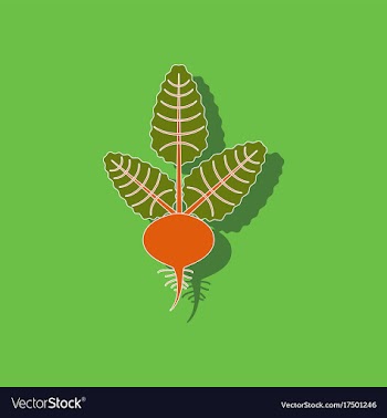 Paper sticker on background of beta vector image