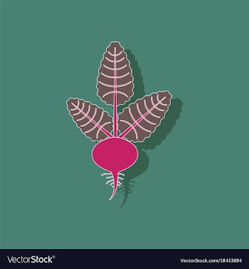 Paper sticker on background of beta vector image